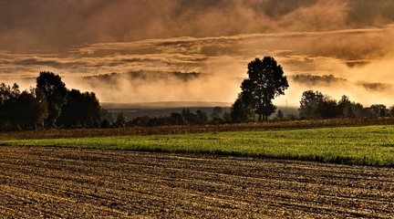 mgła o poranku © Piotr