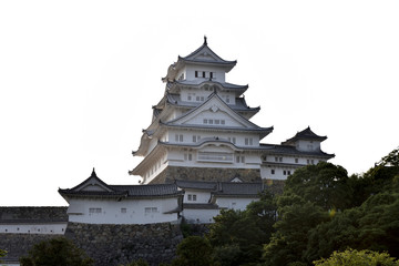 Fototapeta premium 姫路城