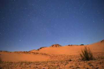 Fototapeta na wymiar Night falls on the orange dunes of the desert under the moonlight and a deep, blue, starry sky.