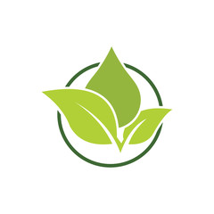 Organic leaf  logo vector template