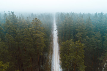 Fog in the forest  during winter, captured from above.
