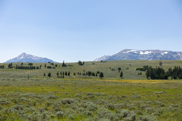 Yellowstone National Park 