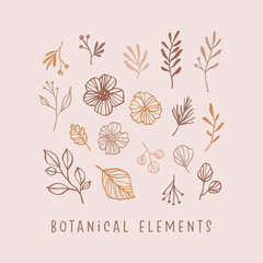 Hand drawn botanical elements set, leaves, flowers, branches and berries