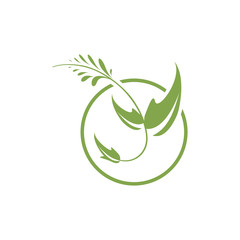 Organic leaf  logo vector template