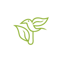 Abstract Bird Logo design vector template