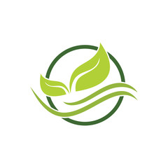 Organic leaf  logo vector template