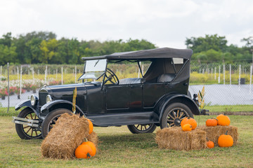 Ford Model T on a farm with pumpkins and hay in foreground