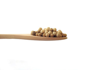 Piper Albi Linn / White Pepper (known as Lada or Merica Putih in Indonesia) on a wooden spoon at...