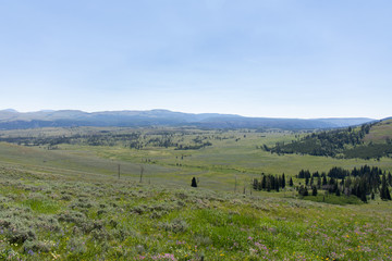 Yellowstone National Park 