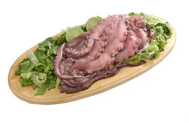 pulpo crudo