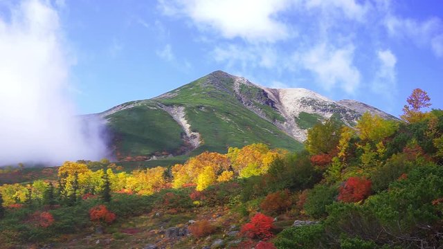 信州の紅葉　乗鞍岳　乗鞍エコーライン