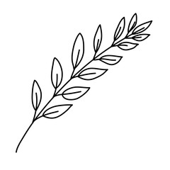 Fototapeta premium branch with leafs decorative icon