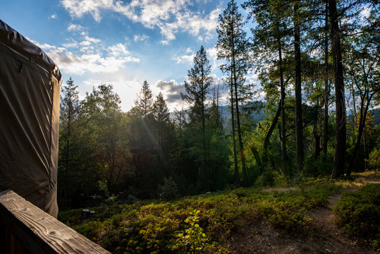 Yurt Morning