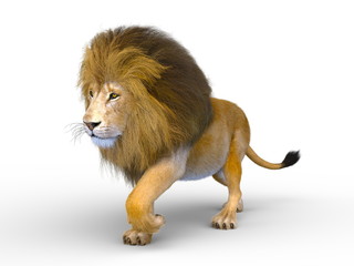 Obraz premium ライオン