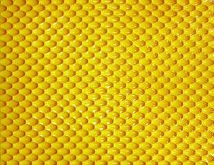 Yellow Nature Background.  honeycomb