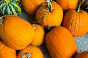 Autumn Pumpkin Thanksgiving and Halloween Background - orange pumpkins over wooden table.