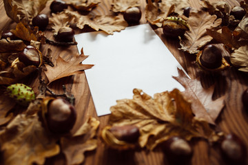 Autumn leaves, chestnuts and blank paper with space for text.