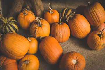 Autumn Pumpkin Thanksgiving and Halloween Background - orange pumpkins over wooden table. Toned Image.