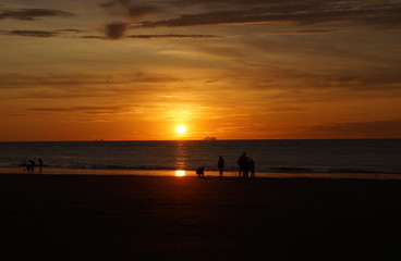 Familie sucht Muscheln am Meeresstrand bei Sonnenuntergang