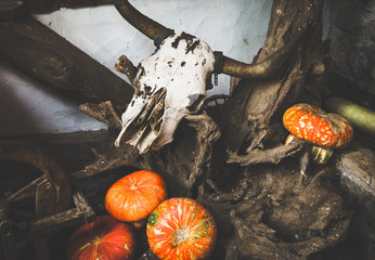 Autumn Pumpkin Thanksgiving and Halloween Background - orange pumpkins over wooden table. Toned Image.