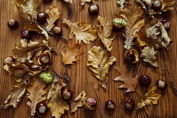 Top view of a composition of oak and maple leaves, ripe chestnuts on a brown wooden board. Autumn mood.