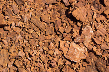 Earth Tone and Texture