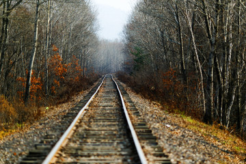 Beautiful view. The railway leaves in the middle of autumn trees.