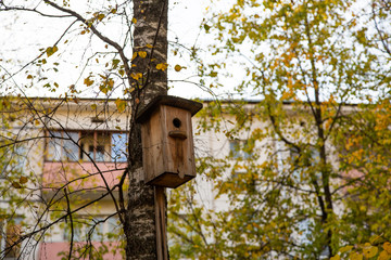 wooden birdhouse on a tree