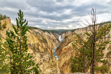 Lower Falls and Grand Canyon of the Yellowstone from Artist Point