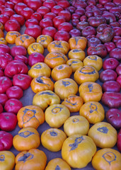 Close-up full frame view of freshly harvested organic tomatoes in a variety of colors displayed at a market stand