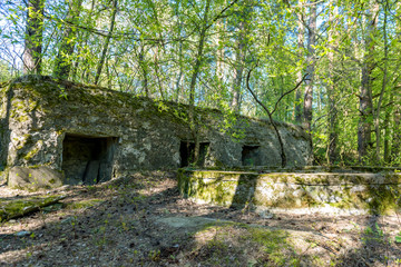 Fototapeta na wymiar Old abandoned ruins of fortress in the forest, in Latvia.