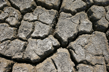 Climate warming dry chapped land