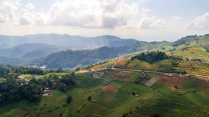 Obraz premium nature