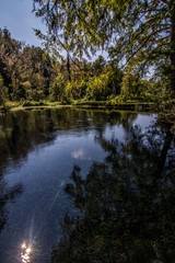 Florida Fresh water ways 