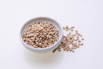 Uncooked raw Sorghum (also known as sorgo) in a white bowl, isolated on white background