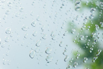 Water drops on glass green background.