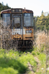 Fototapeta premium 廃墟電車