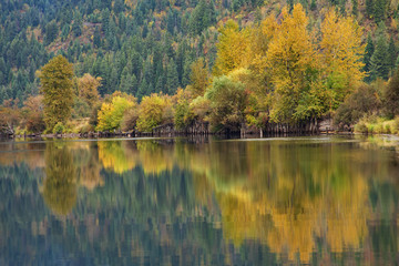 Fototapeta na wymiar Original fall photograph of colored Aspen Trees reflecting in a calm lake