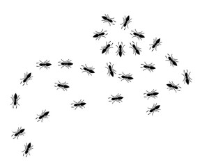 Ant vector illustration design