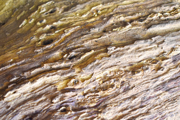 background of texture