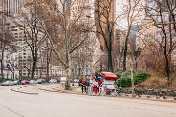 New York City, NY, USA - 25th, December, 2018 - Central park sightseeing horse carriage in a...