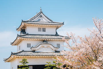 Naklejka premium Marugame castle with cherry blossoms in Kagawa, Japan