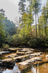 Great Smoky Mountains National Park