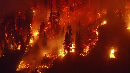 Aerial, tilt down, drone shot, overlooking trees in flames, Alaskan forest fires destroying and causing air pollution, on a dark, summer night, in Alaska, USA - Powered by Adobe