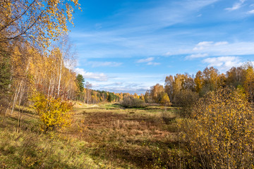 Floodplain of a small river surrounded by trees with yellow leaves.