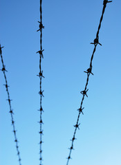 Barbed wire