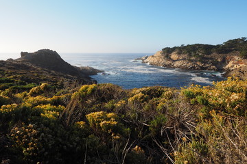Fototapeta na wymiar Point Lobos State Natural Reserve in Monterey County, California in late afternoon autumn light.