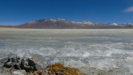 Laguna Blanca on the Potosi plateau in Bolivia, near the Uyuni salt flats