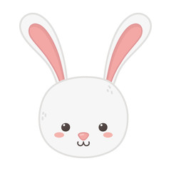 cute rabbit head animal on white background