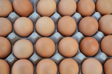 Close up shot of freshly laid brown organic eggs